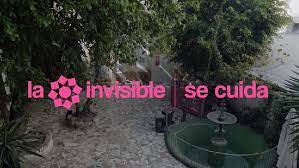 El Ayuntamiento de Málaga miente sobre las causas de la demora en la resolución de la adjudicación del proyecto de rehabilitación de La Invisible